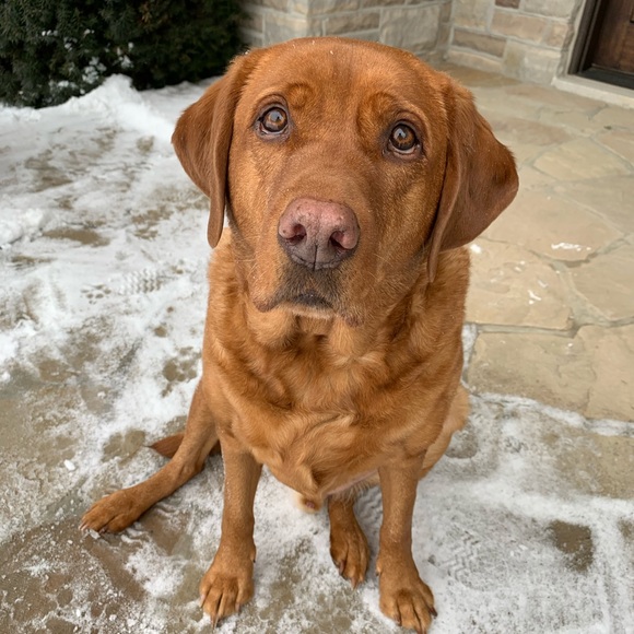 Meet your Posher, Courtney - Picture 1 of 1